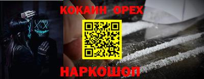 гашик Тара
