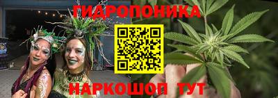 гашик Тара
