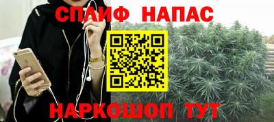 индика Татарск