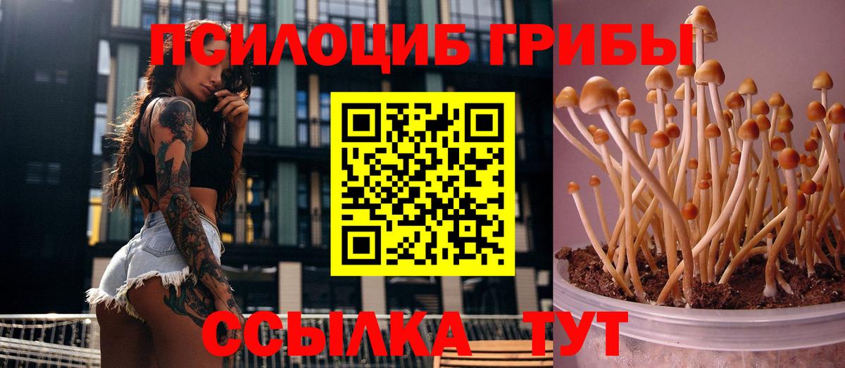 Галлюциногенные грибы GOLDEN TEACHER Москва