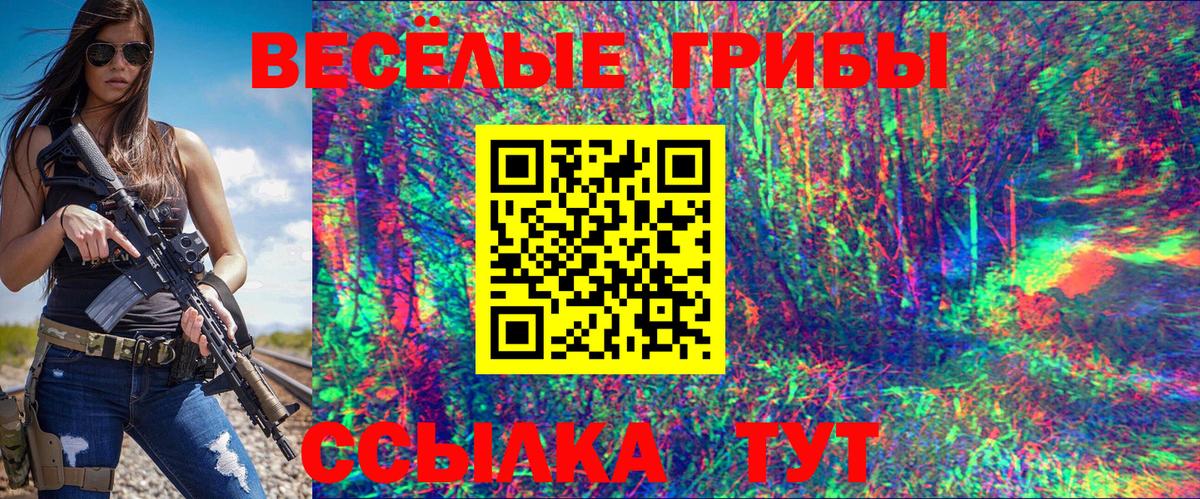 Москва  Псилоцибиновые грибы GOLDEN TEACHER  Вход с VPN  Псилоцибиновые грибы ЛСД 